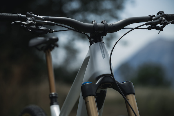 Sealed Internal Cables in 2023 Orbea Wild M-LTD