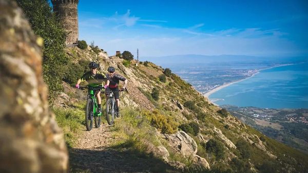high-end carbon fibre road bicycles and mountain bikes frames